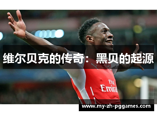 维尔贝克的传奇:黑贝的起源 维尔贝克的传奇:黑贝的起源