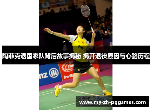 陶菲克退国家队背后故事揭秘 揭开退役原因与心路历程